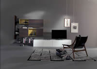 modern wall units - Italian furniture